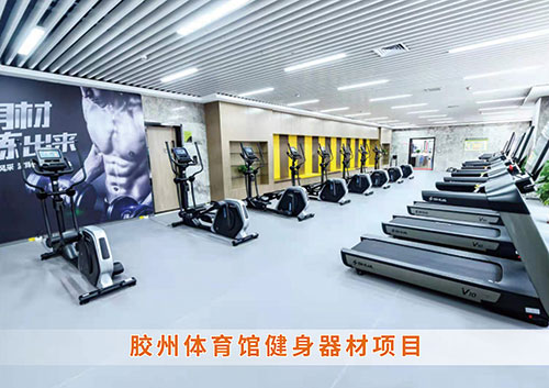 ​公海彩船为胶州体育馆打造的健身房